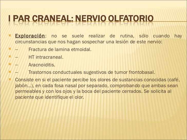 Exploracion Pares Craneales Pdf